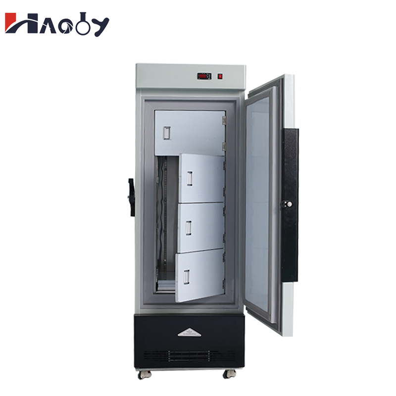 Wholesale 158L Medical Freezer - огляд і ціна Medical Lab Iso